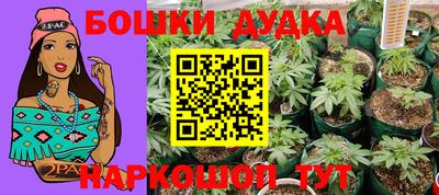 стафф Лесосибирск