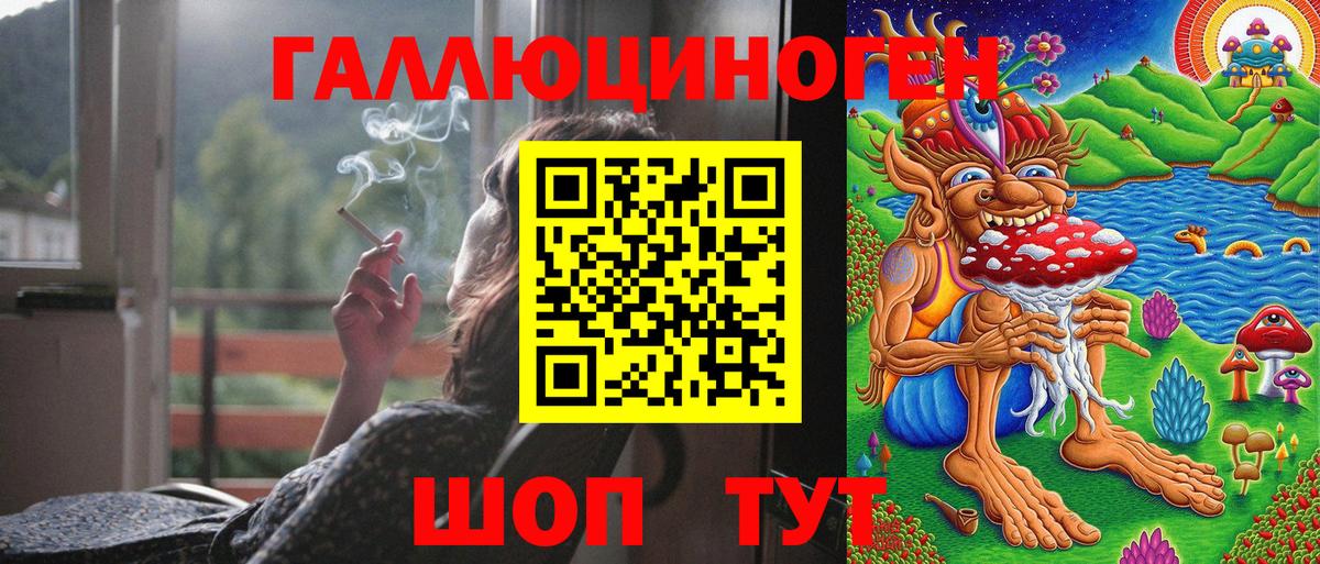 Камышин  Псилоцибиновые грибы MAGIC MUSHROOMS  Вход с VPN 